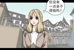 人工漫画,人工漫画的艺术魅力与创意探索